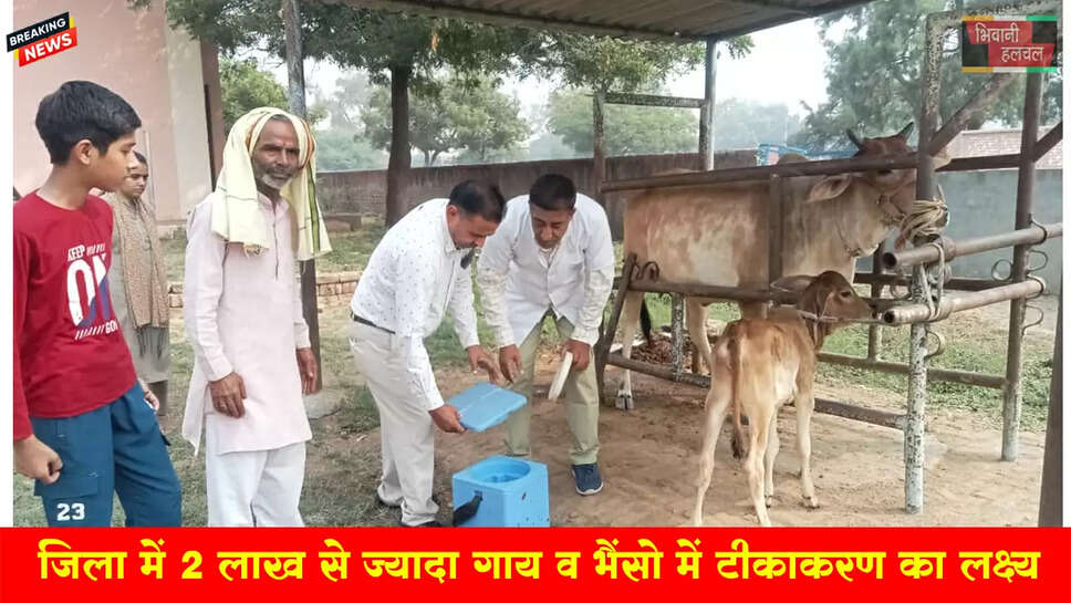 जिला में 2 लाख 83 हजार गाय व भैंसों को मुंहखुर व गलघोटू का टीकाकरण का रखा लक्ष्य 