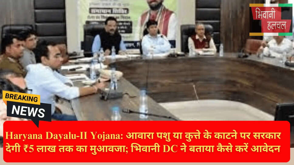 Haryana Govt Compensation Stray Animals