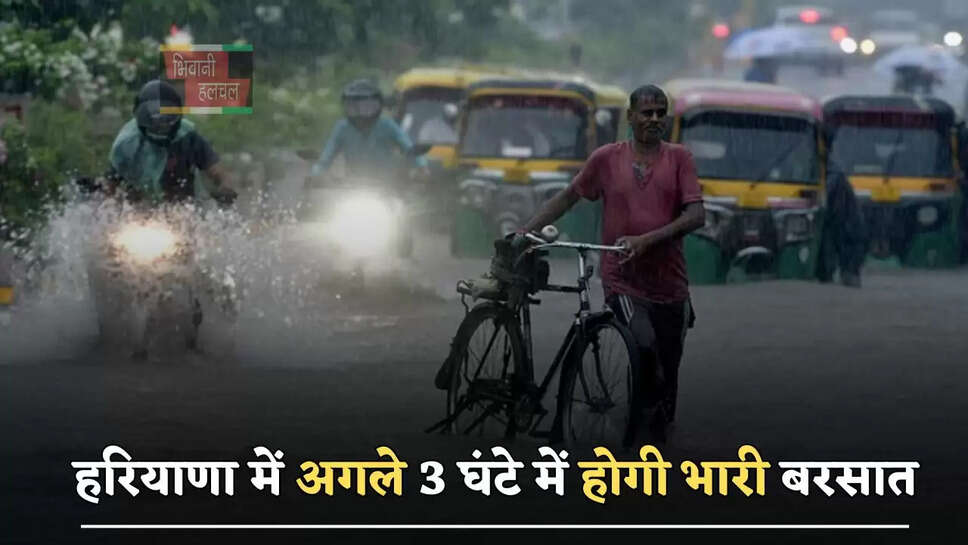 हरियाणा में इन जिला वासियों को मौसम विभाग की चेतावनी! अगले 3 घंटे में होगी भारी बरसात