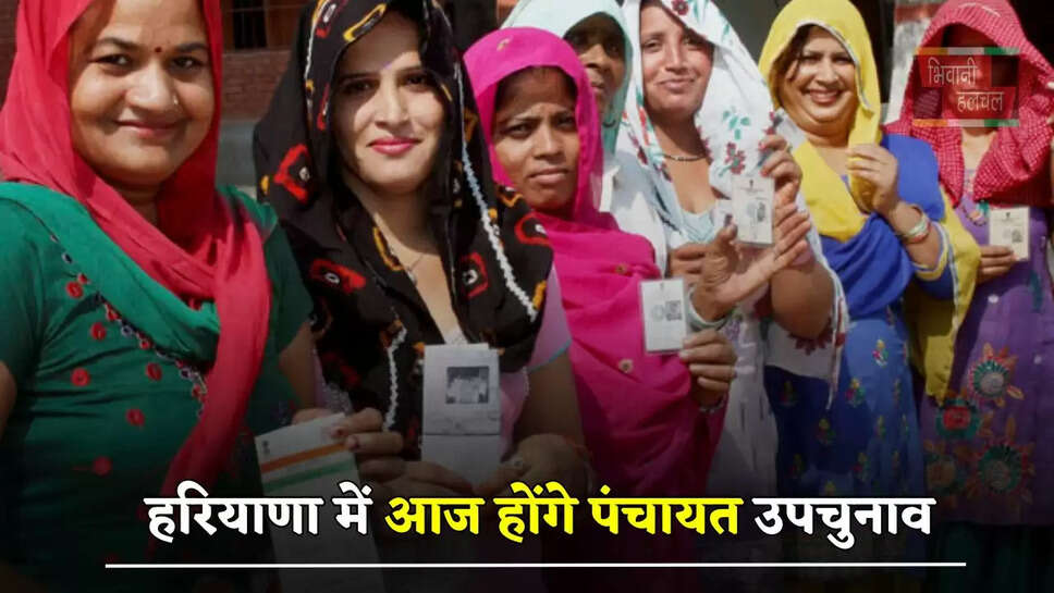 हरियाणा में आज होंगे पंचायत उपचुनाव, इस समय तक जारी रहेगा मतदान&nbsp;