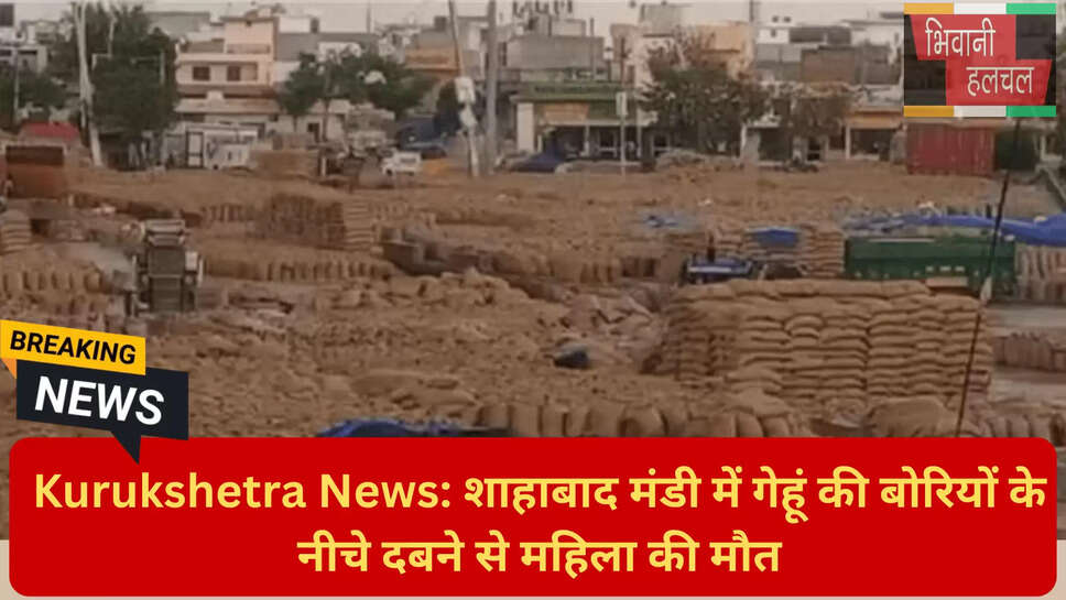 शाहाबाद अनाज मंडी दुकान नंबर 103