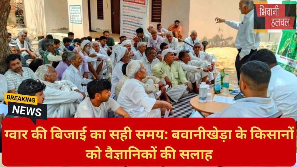 ग्वार की उन्नत पैदावार के उपाय
