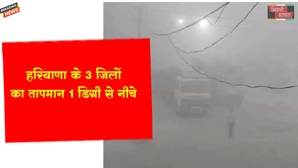हरियाणा के 3 जिलों का तापमान 1 डिग्री से नीचे