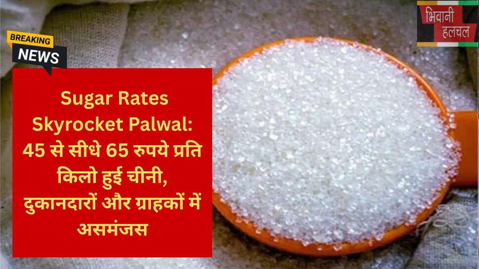पलवल समाचार