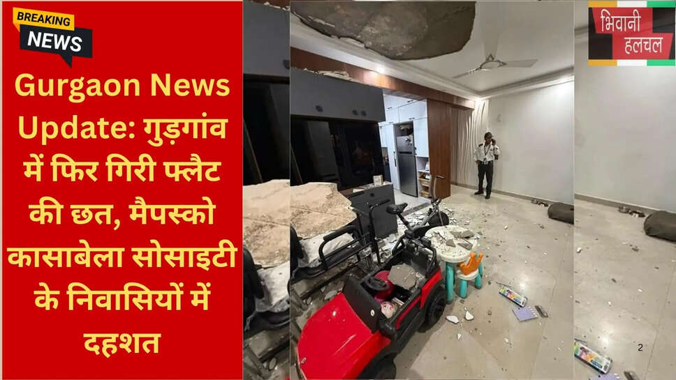 गुड़गांव आरडब्ल्यूए शिकायत
