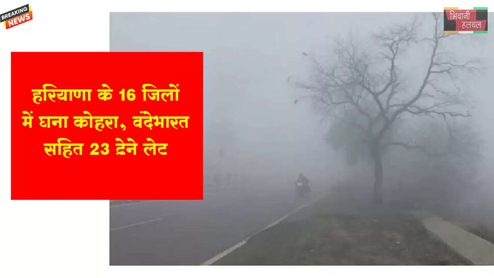 हरियाणा के 16 जिलों में घना कोहरा