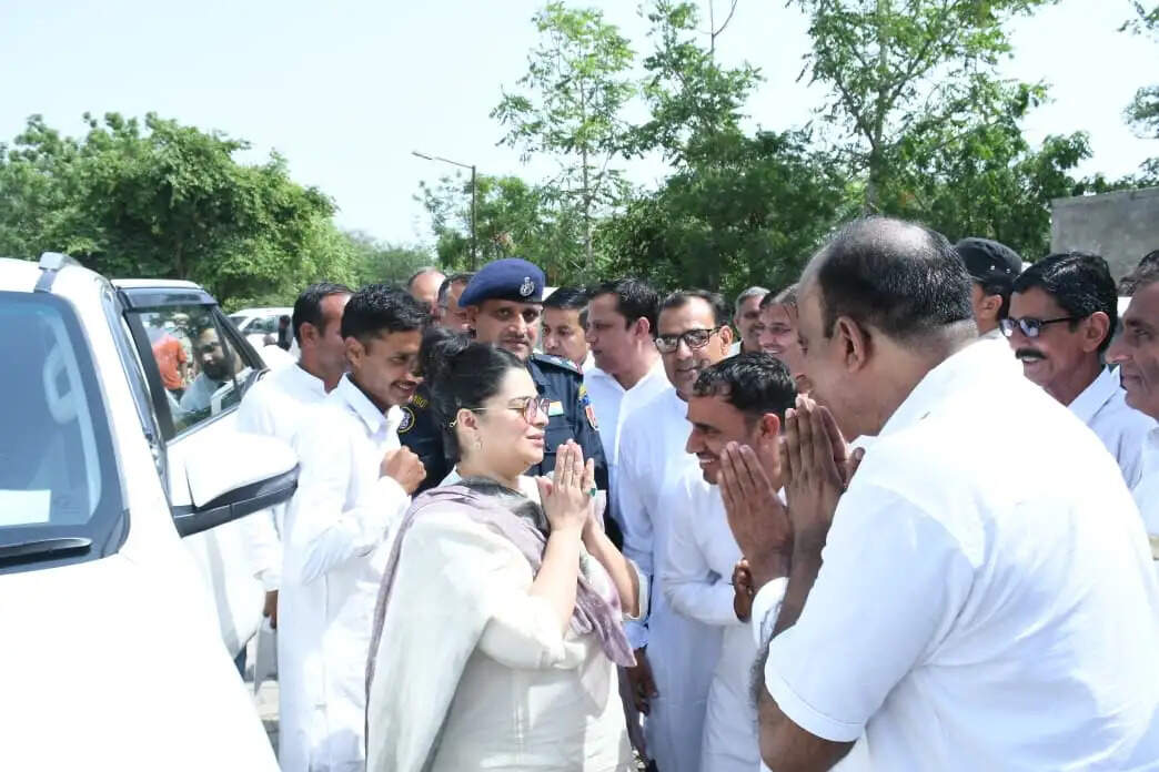  सिंचाई जल 