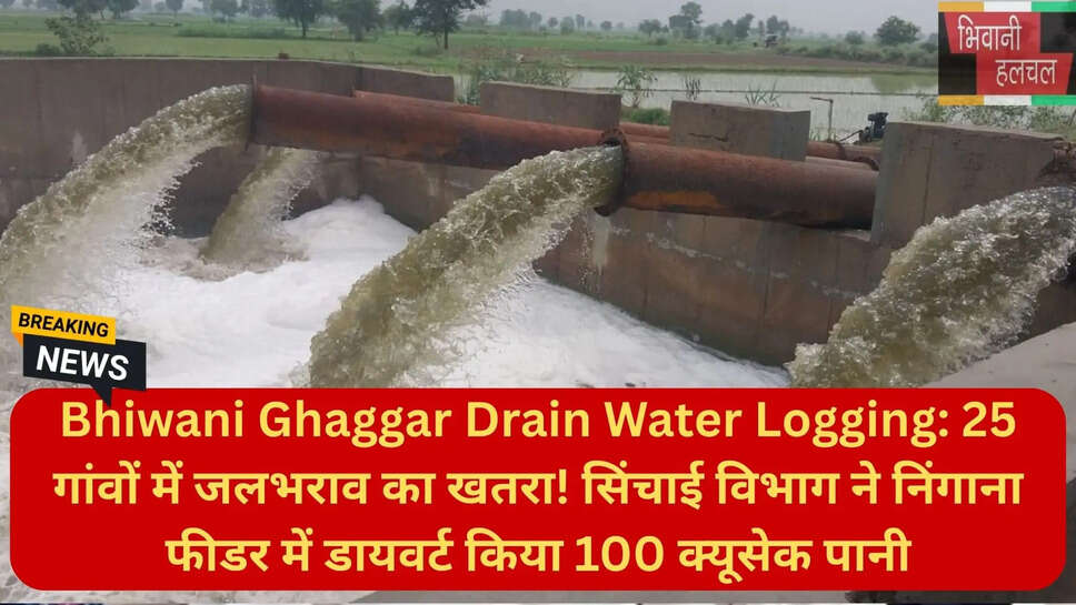 हरियाणा बारिश समाचार