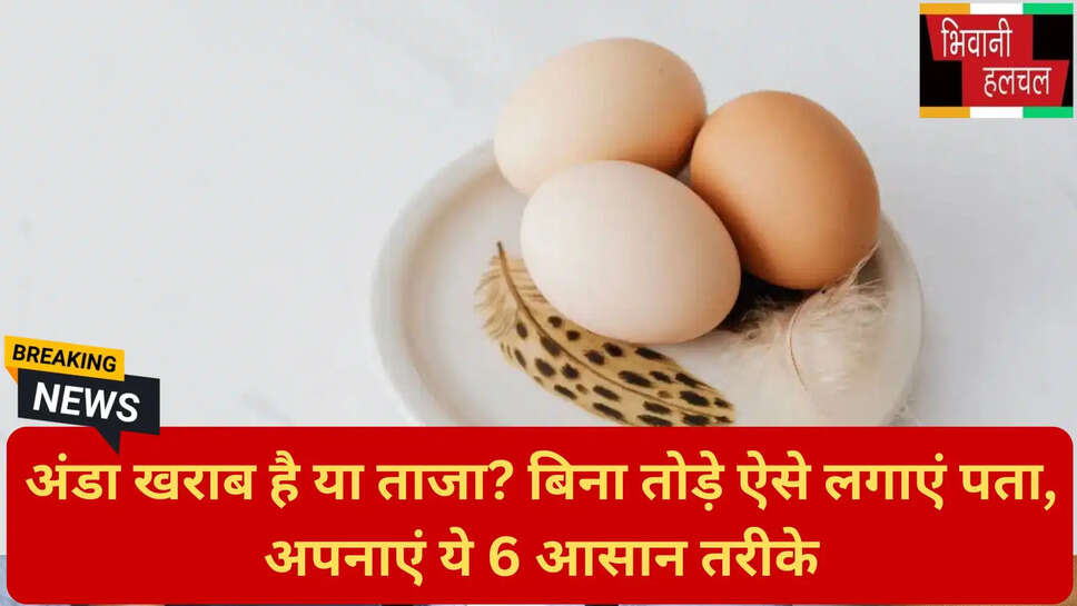 अंडे की ताजगी जांचने के हैक्स