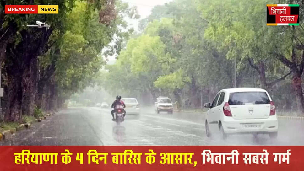 हरियाणा में 4 दिन बारिश के आसार&nbsp;