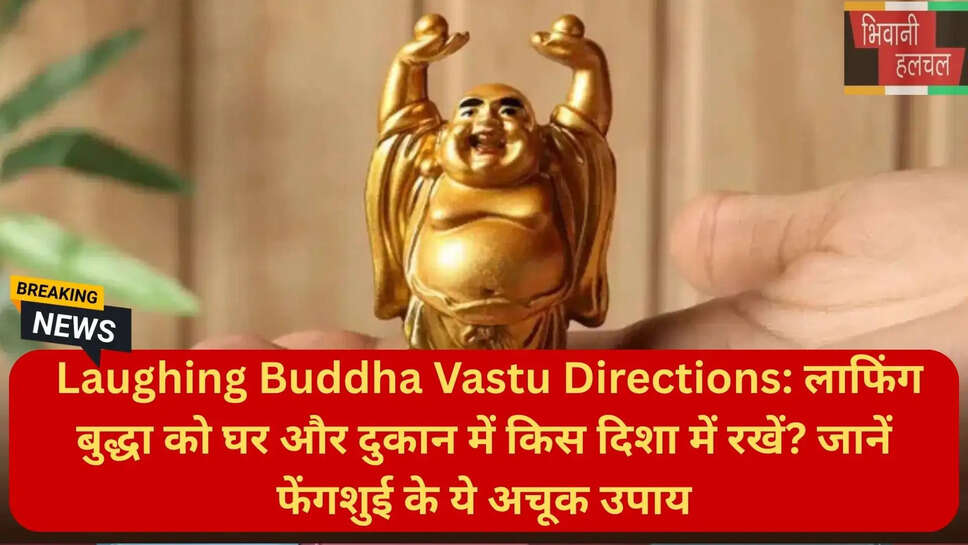 लाफिंग बुद्धा कौन सा शुभ होता है