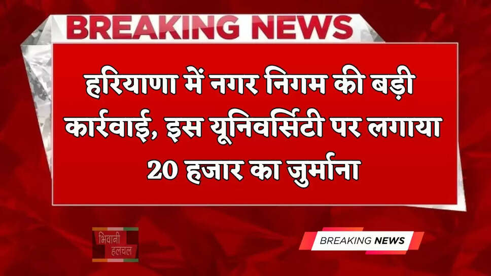हरियाणा में नगर निगम की बड़ी कार्रवाई, इस यूनिवर्सिटी पर लगाया 20 हजार का जुर्माना&nbsp;