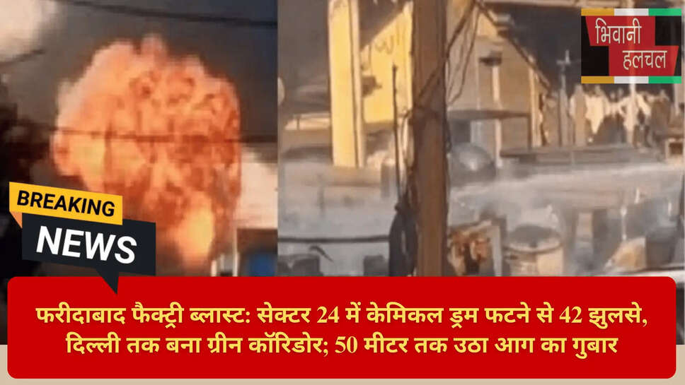 सेक्टर 24 फायर अपडेट