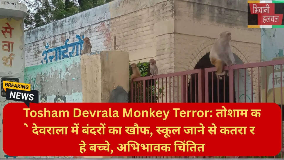 हरियाणा ताजा खबर