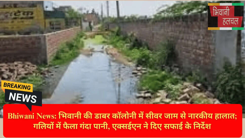 Bhiwani Sewerage Problem