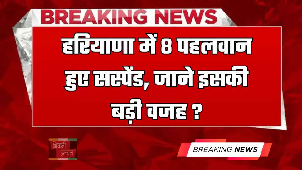 हरियाणा में 8 पहलवान हुए सस्पेंड, जाने इसकी बड़ी वजह ?