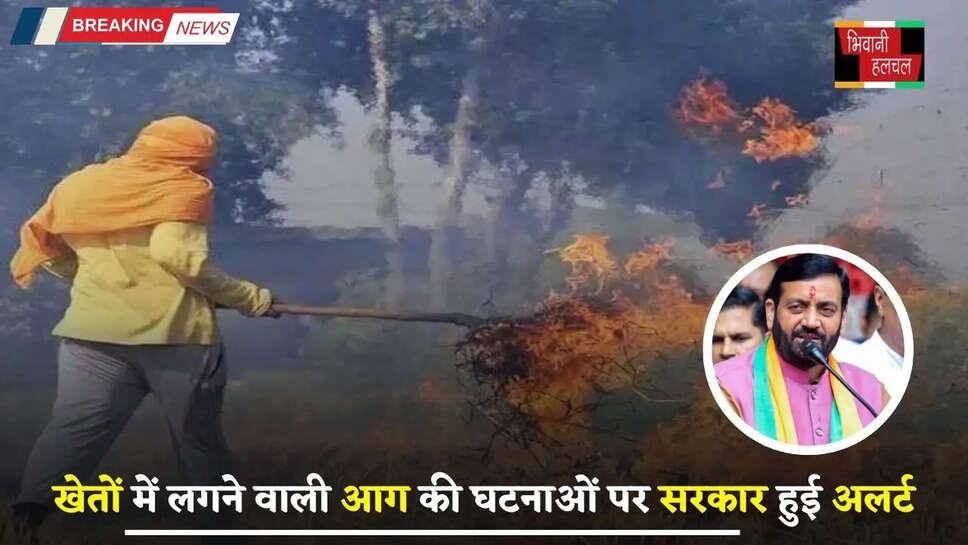 Haryana: हरियाणा के खेतों में लगने वाली आग की घटनाओं पर सैनी सरकार हुई अलर्ट, सभी DC को दिए ये निर्देश