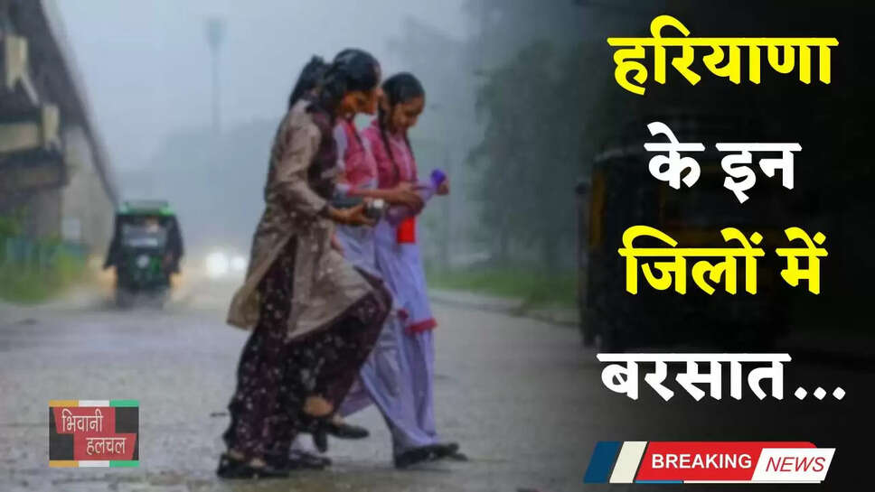 Haryana Weather: हरियाणा के इन जिलों में बरसात, IMD ने अगले दो दिन के लिए जारी किया अलर्ट&nbsp;