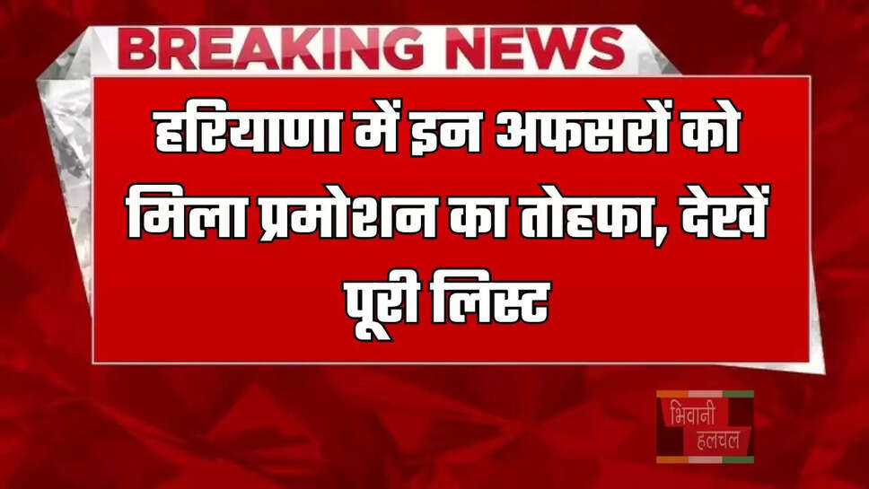 हरियाणा में इन अफसरों को मिला प्रमोशन का तोहफा, देखें पूरी लिस्ट
