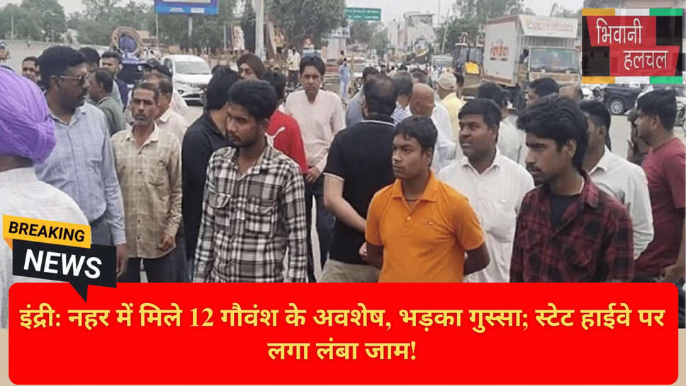 Gau Raksha Dal Protest Haryana