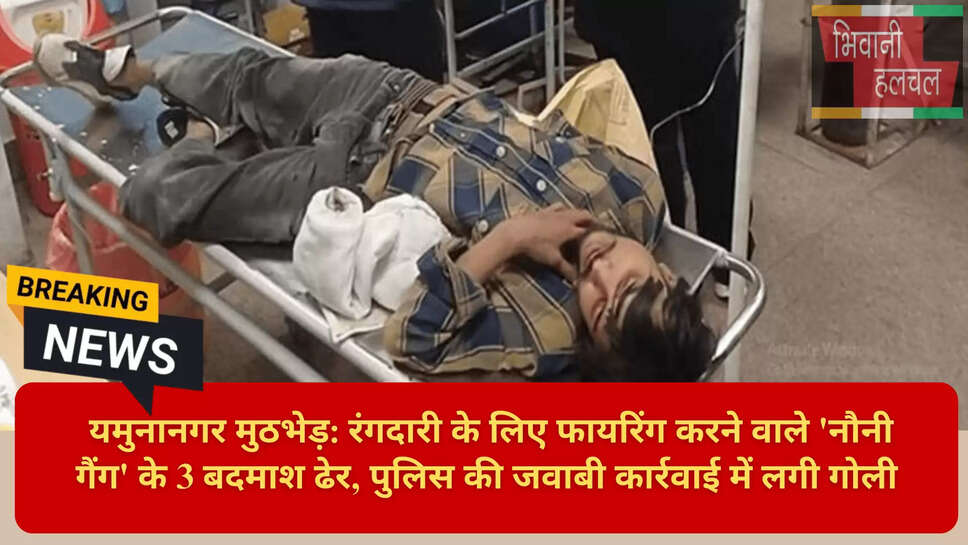 नौनी गैंग