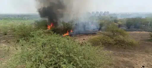 अग्रोहा टीले के जंगल में लगी भीषण आग