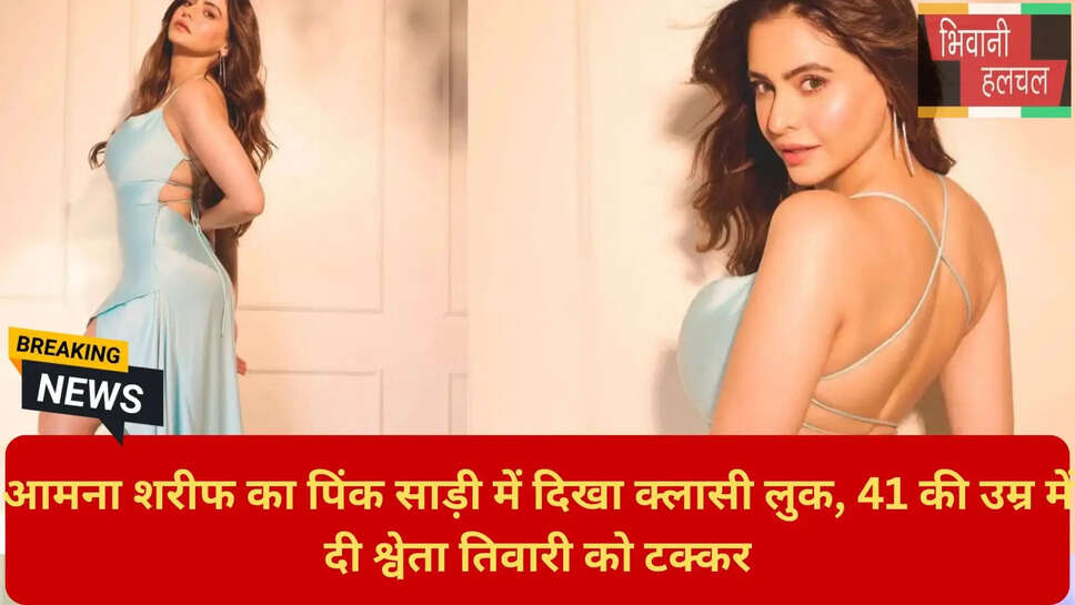 श्वेता तिवारी बनाम आमना शरीफ