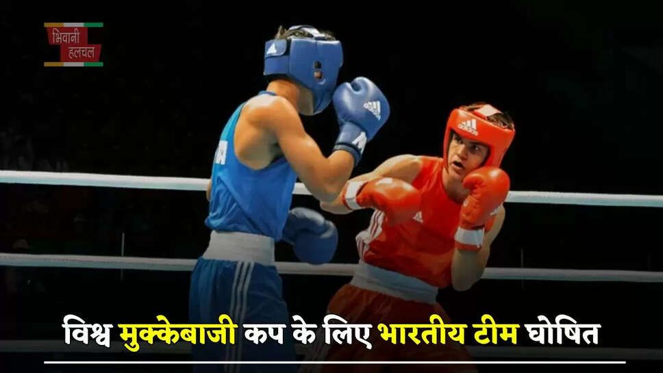 विश्व मुक्केबाजी कप के लिए भारतीय टीम घोषित, 20 में से 16 खिलाड़ी हरियाणा के
