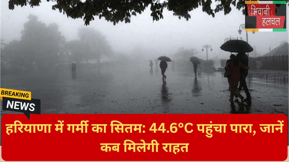 हरियाणा में बारिश का अलर्ट