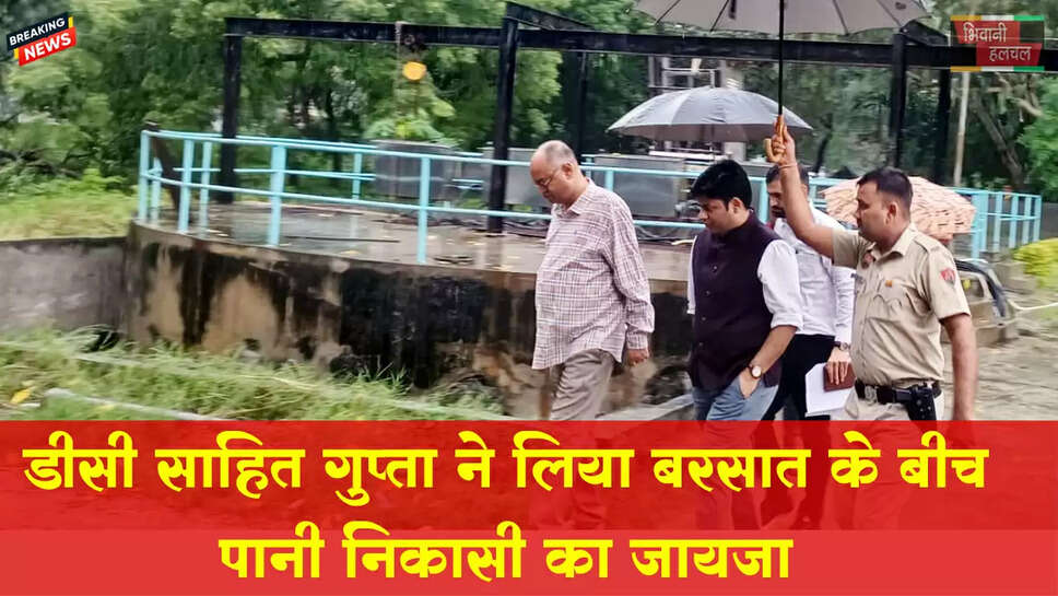 डीसी ने मूसलाधार बारिश में लिया शहर में पानी निकासी का जायजा&nbsp;