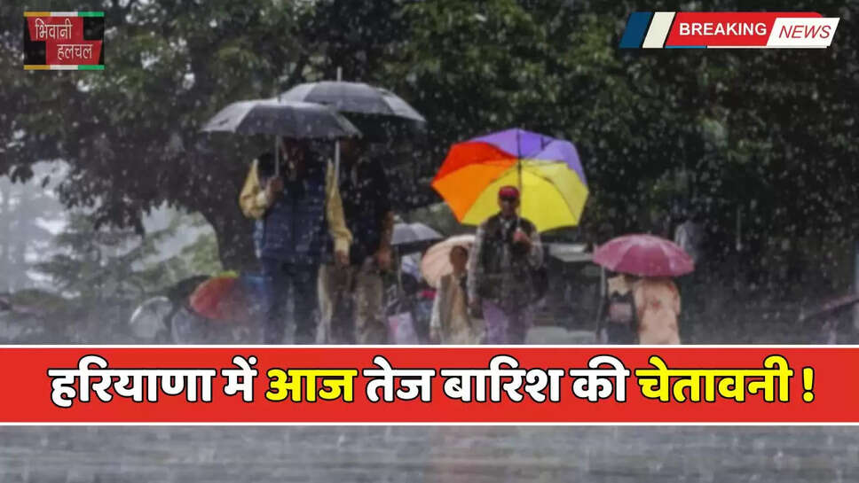 Haryana Weather: हरियाणा में आज तेज बारिश की चेतावनी ! देखें अगले 3 ऐसा रहेगा मौसम