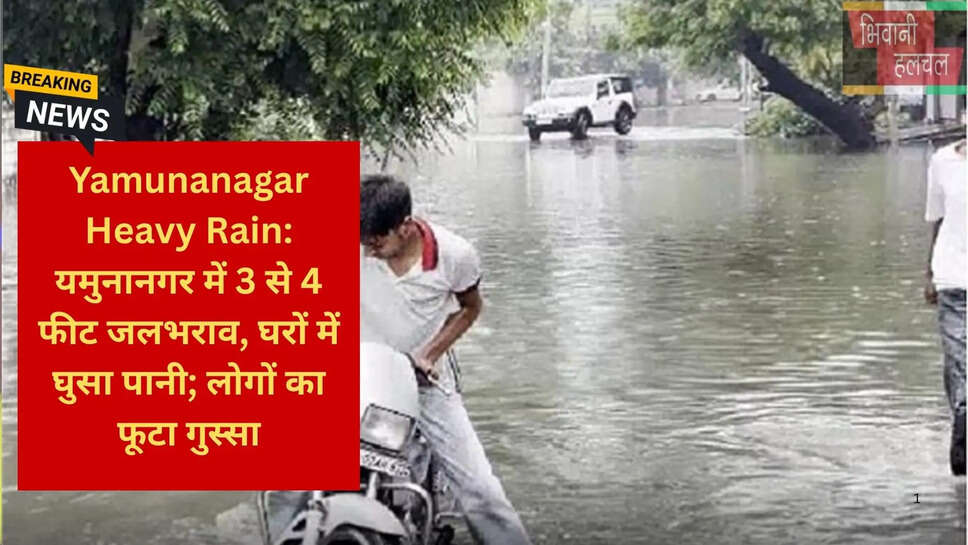 हरियाणा न्यूज हिंदी