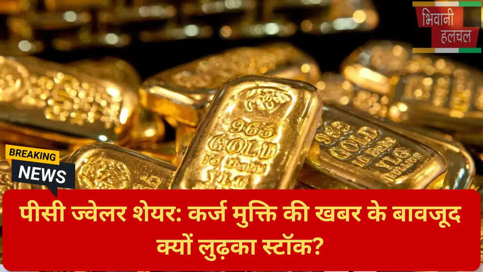 कर्ज मुक्त कंपनी