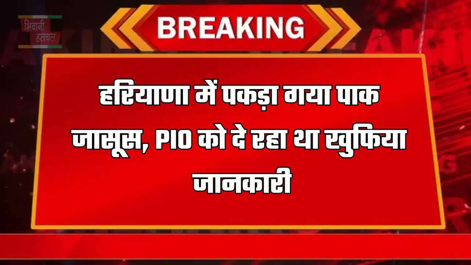 हरियाणा में पकड़ा गया पाक जासूस, PIO को दे रहा था खुफिया जानकारी