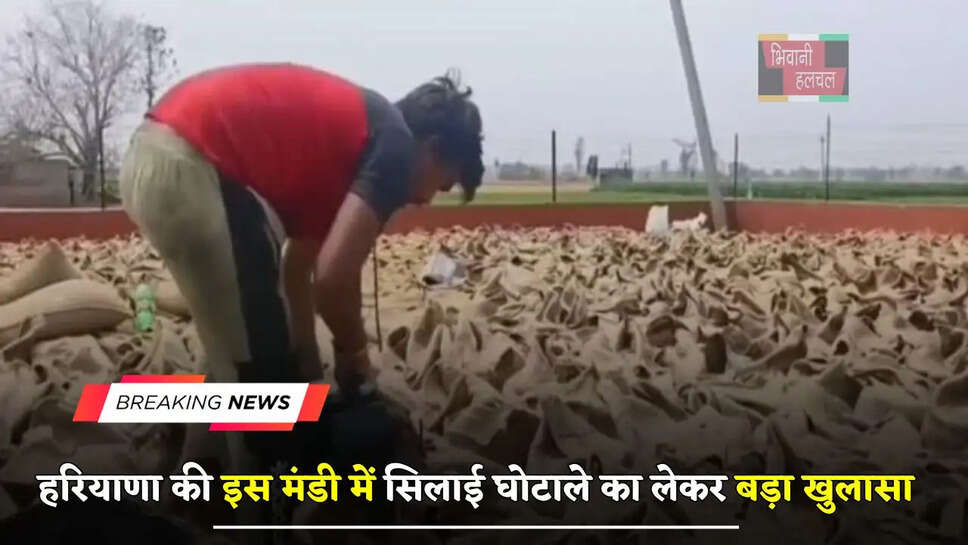 हरियाणा की इस मंडी में सिलाई घोटाले का लेकर बड़ा खुलासा, जाने पूरा मामला ?