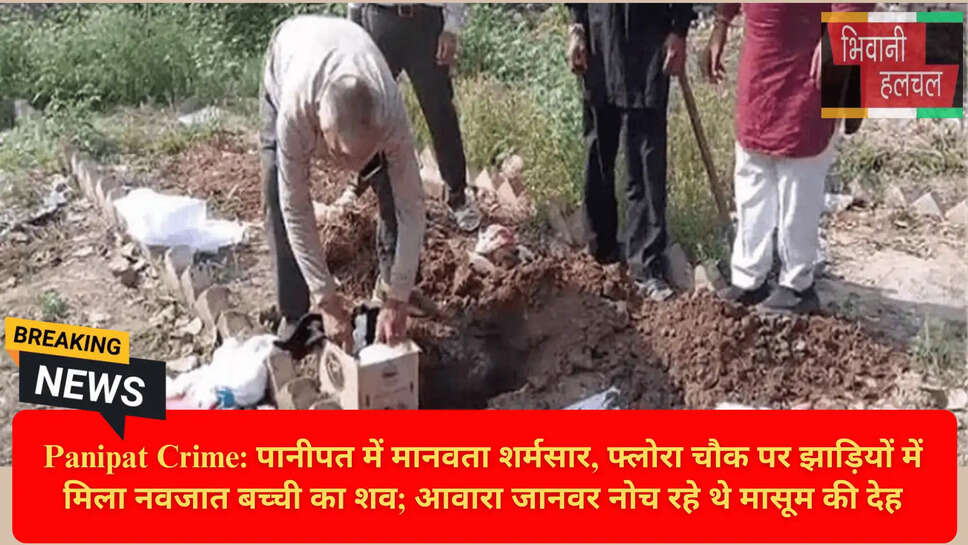 हरियाणा क्राइम अपडेट