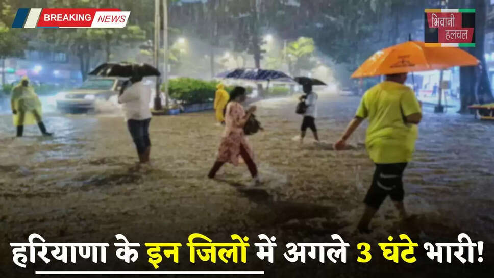 Haryana Rain Alert: हरियाणा में अगले 3 घंटे भारी! इन जिलों में जबरदस्त बरसात&nbsp;