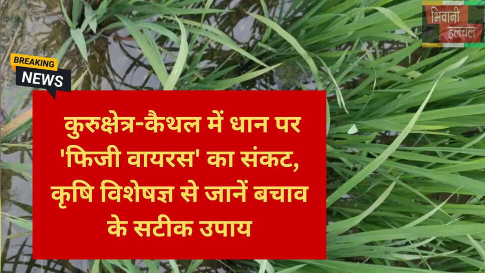 हरियाणा किसान न्यूज