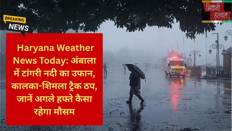 हिसार तापमान समाचा