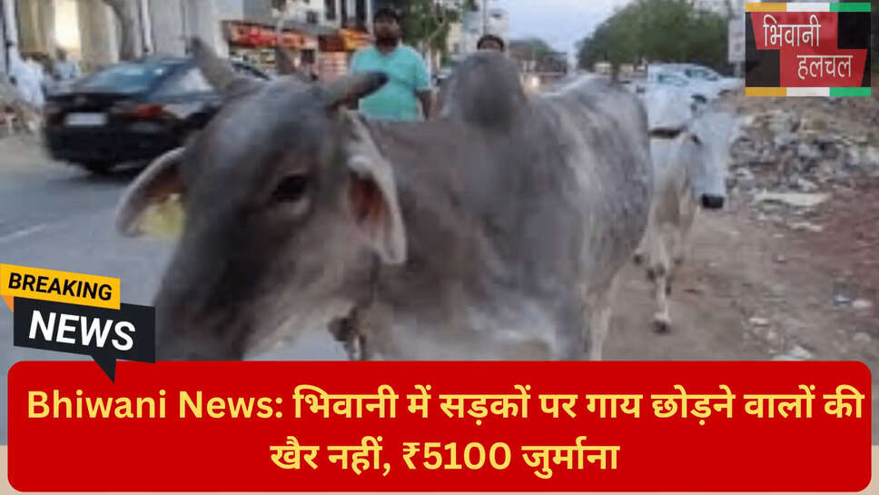 भिवानी न्यूज़ अपडेट