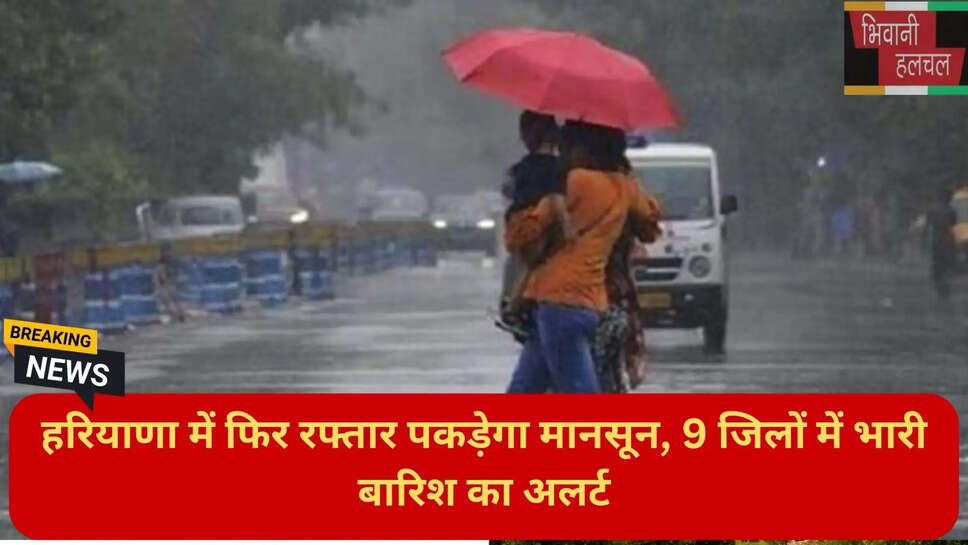 हरियाणा कृषि और मौसम