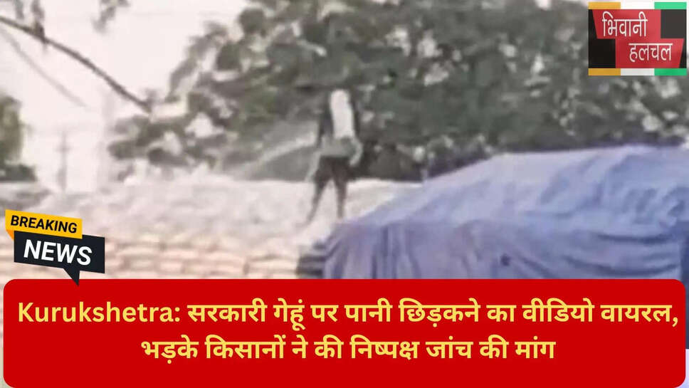 एफसीआई गेहूं नमी जांच