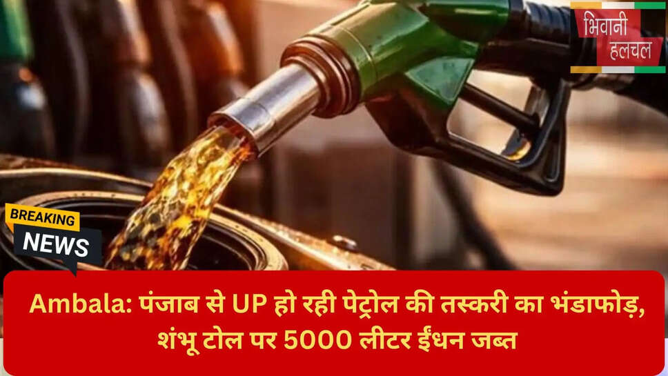 मोहम्मद हुसैन बादशाही बाग