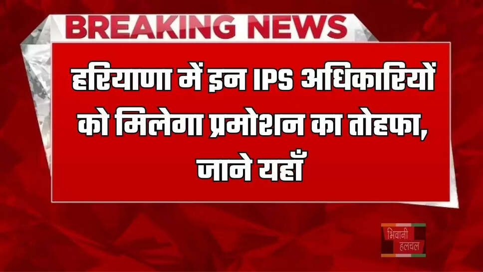 हरियाणा में इन&nbsp;IPS अधिकारियों को मिलेगा&nbsp;प्रमोशन का तोहफा, जाने यहाँ&nbsp;