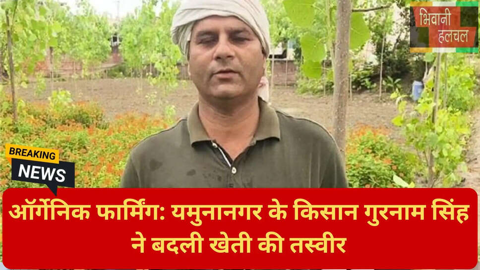 हरियाणा में जैविक खेती