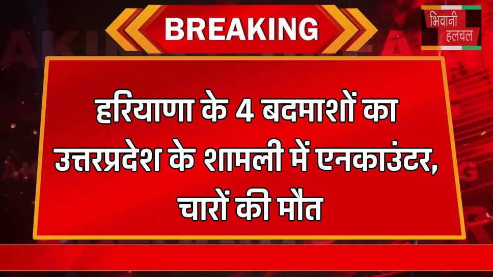  हरियाणा के 4 बदमाशों का उत्तरप्रदेश के शामली में एनकाउंटर, चारों की मौत