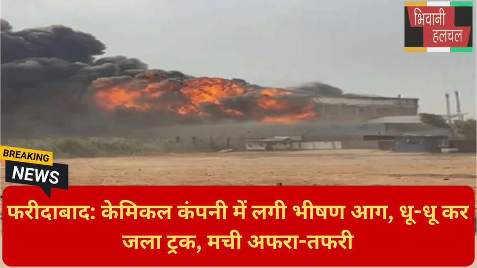 हरियाणा न्यूज फरीदाबाद