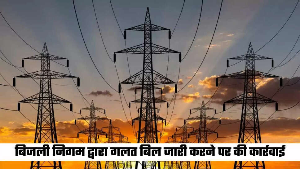 Action taken by electricity corporation for issuing wrong bill