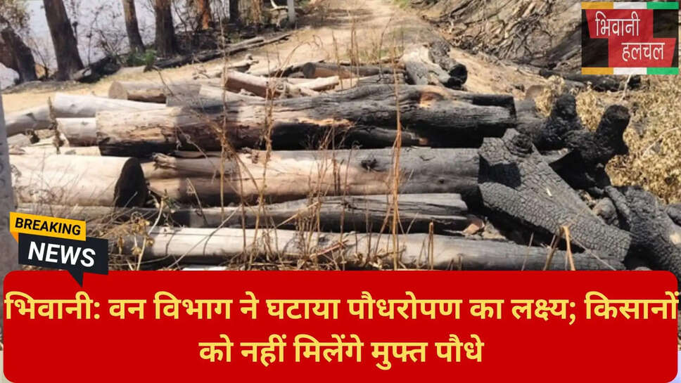 लोकराम नेहरा पर्यावरण प्रहरी