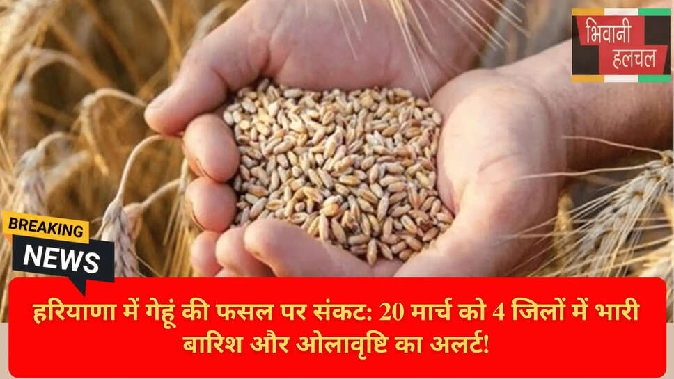 Temperature Drop in Haryana